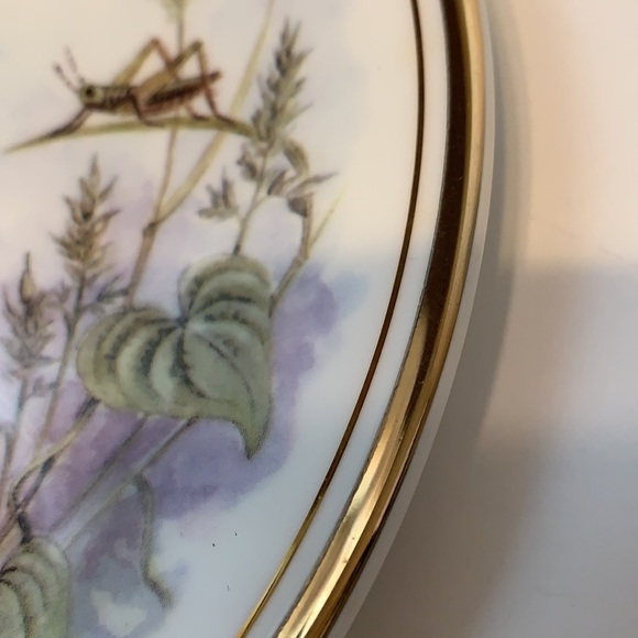 Royal Kent Bone China Cat Collectors Plate - Picture 5 of 7